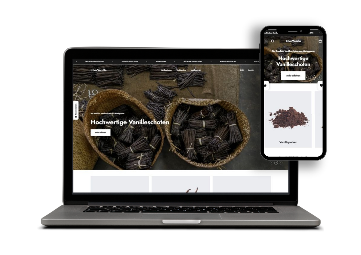 Website-Mockup Intervanilla